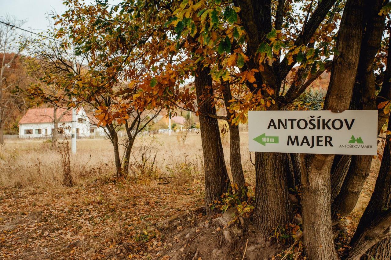 Antosikov Majer Guest House Banska Stiavnica Luaran gambar